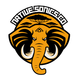 Native Sonics Collective